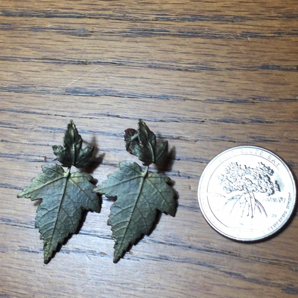 Michael Michaud Leaf Earrings